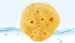 天然海綿和人工海綿的區別